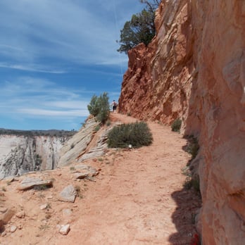 Observation Point - switchback at the end - Hiking Near Me - Springdale, Utah Observation Point - switchback at the end - Hiking Near Me - Springdale, Utah