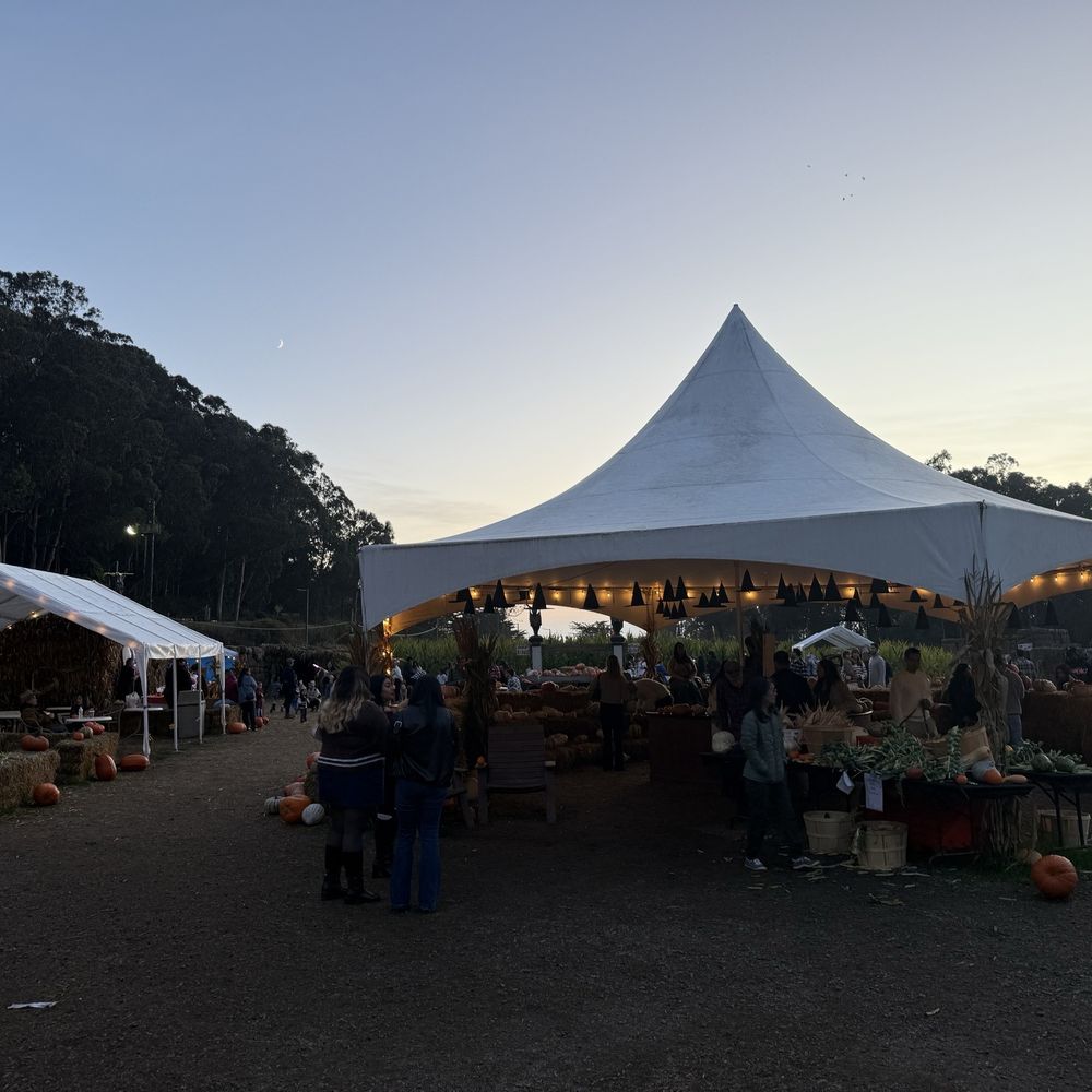 Arata's Pumpkin Farm - Pumpkins, brussels sprouts, and other squash for sale - Christmas Trees Near Me - Half Moon Bay, California Arata's Pumpkin Farm - Pumpkins, brussels sprouts, and other squash for sale - Christmas Trees Near Me - Half Moon Bay, California