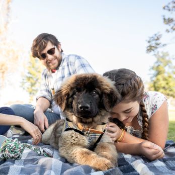 Banfield Pet Hospital - Veterinarians Near Me - Guaynabo, Puerto Rico Banfield Pet Hospital - Veterinarians Near Me - Guaynabo, Puerto Rico
