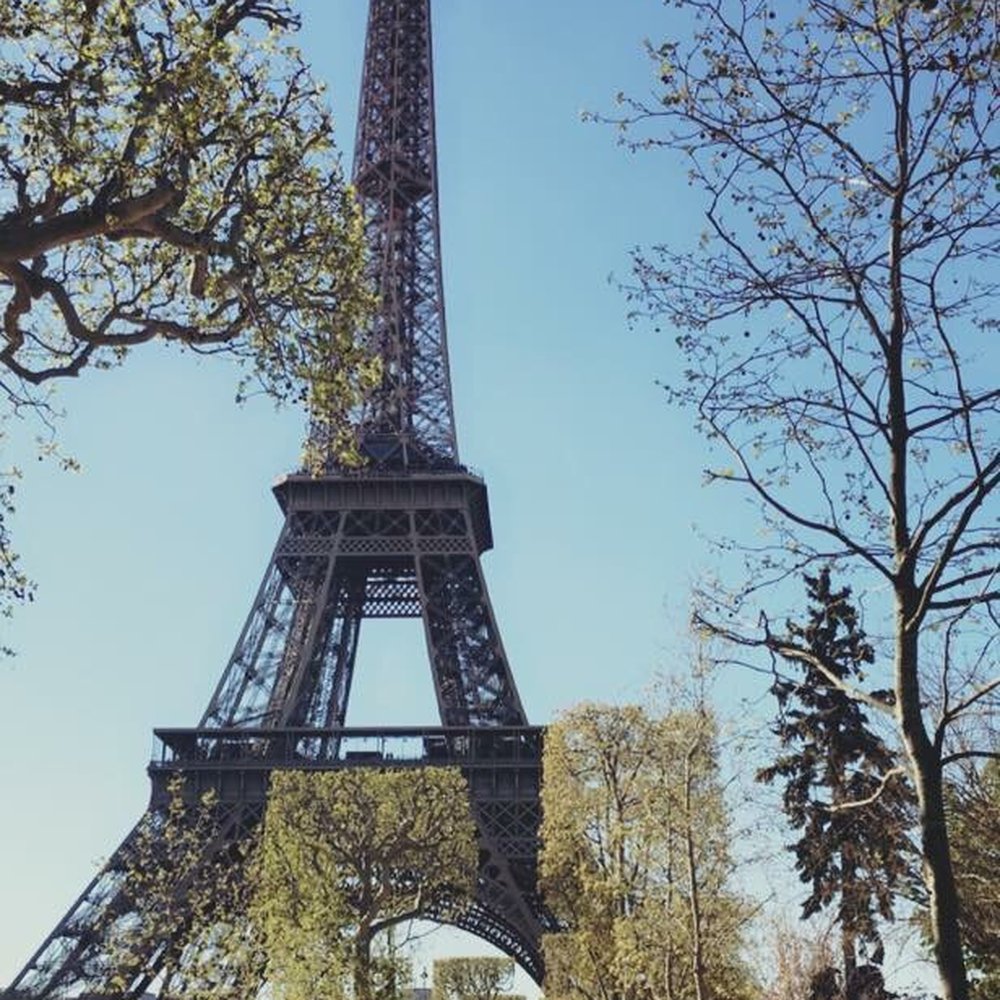 Champ de Mars - Taken while walking toward Eiffel Tower beside Champs de Mars - Parks Near Me - Paris, 75