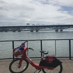 Scenic view of the North Grand Island Bridge from La Salle Waterfront Park
