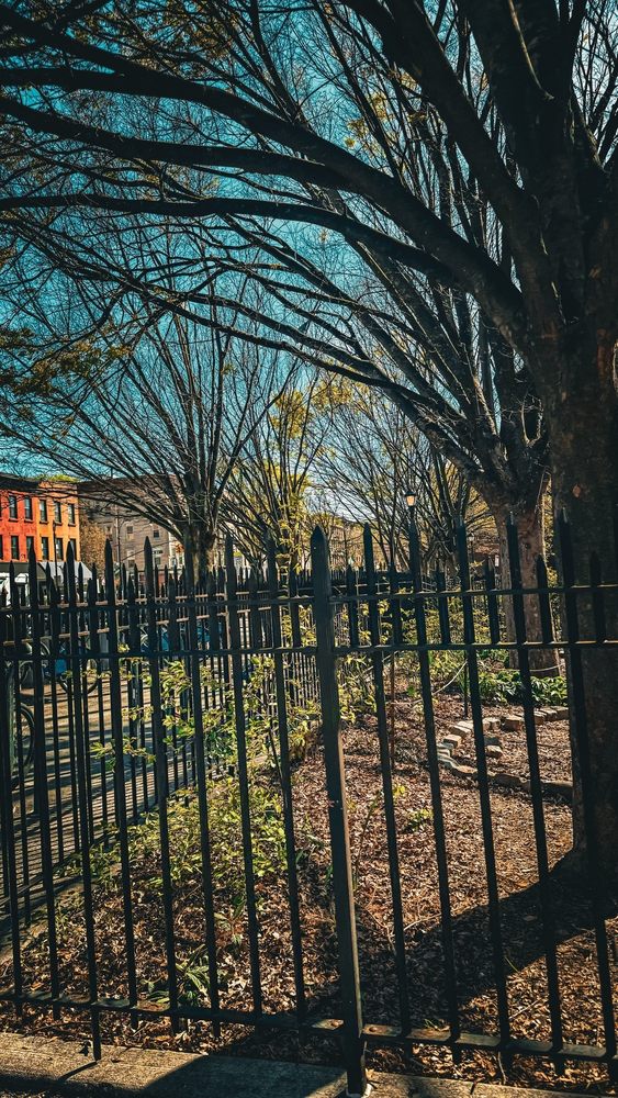 Washington Park / JJ Byrne Playground