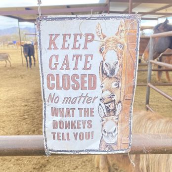 The Hangry Donkey Ranch - Animal Shelters Near Me - Scottsdale, Arizona