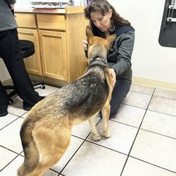 Safe Harbor Animal Hospital