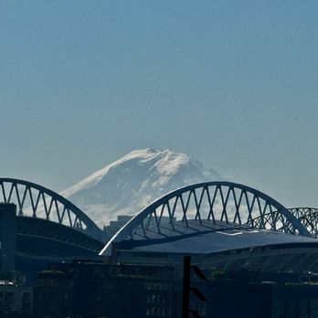 Honest Biscuits - View from pario - Bakeries Near Me - Seattle, Washington