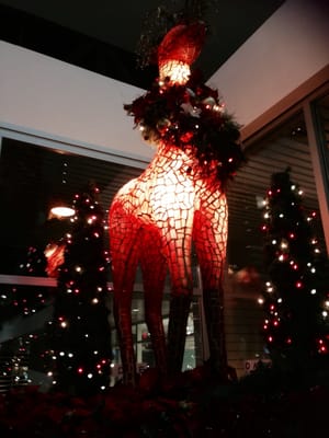 Oakridge Park by null