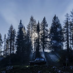 Cutting Edge Tree Professionals