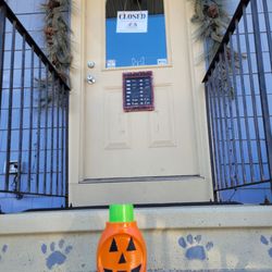 The Clever Critter - Pumpkin was here