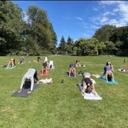 Red Lotus Yoga