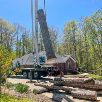 Beasley Crane Hire - Crane Services Near Me Beasley Crane Hire - Crane Services Near Me