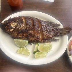 Three Amigos Restaurante - Majjoro I think I misspelled it, but it's amazing whole fish that is deep-fried