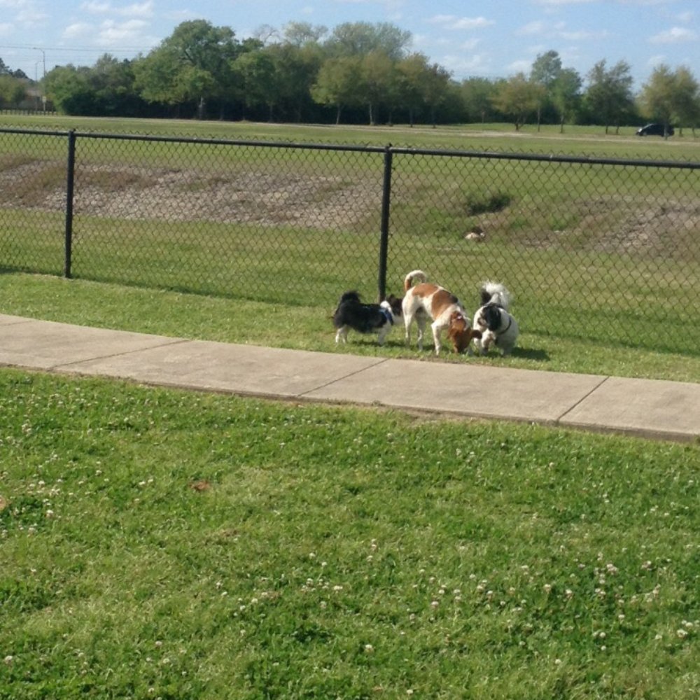 Independence Park - One female dog liked Pocky. - Parks Near Me - Pearland, Texas Independence Park - One female dog liked Pocky. - Parks Near Me - Pearland, Texas
