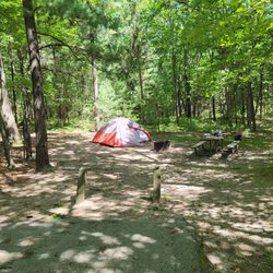 Lake Michigan Recreation Area - My site. You can see the end of the concrete pad in the foreground, as well as my tilty tent catching some rare direct sunlight.