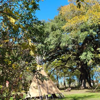 Pioneer Farms - Tonkawa village - Museums Near Me - Austin, Texas Pioneer Farms - Tonkawa village - Museums Near Me - Austin, Texas