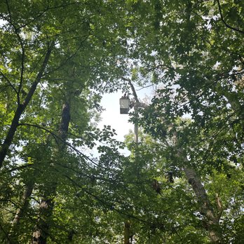 Integrity Tree Service - Tree Services Near Me - Clarksville, Tennessee