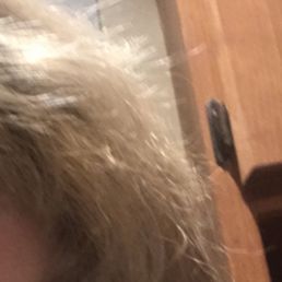I paid $360 for cezanne hair smoothing and a single process to have this frizzy mess! This is with the shampoo they gave me I paid $360 for cezanne hair smoothing and a single process to have this frizzy mess! This is with the shampoo they gave me