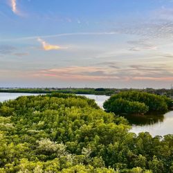 Weedon Island Preserve Cultural and Natural History Center