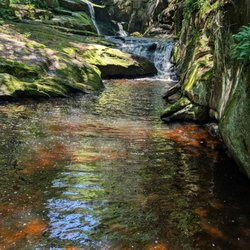 Enders State Forest