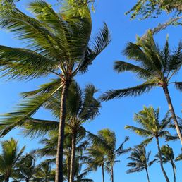 Listening to the waves and the palm trees blowing in the breeze while waiting on my sunset