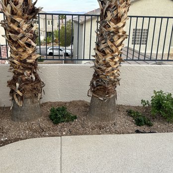 All American Landscape - Landscaping Near Me - Las Vegas, Nevada