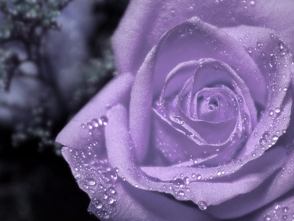 Purple Pastel Bodywork Healing Logo