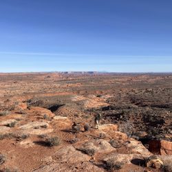 Wild West Trailride