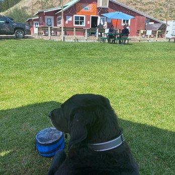 Stagecoach Bar - Dog friendly and good street food !! - Dance Clubs Near Me - Wilson, Wyoming Stagecoach Bar - Dog friendly and good street food !! - Dance Clubs Near Me - Wilson, Wyoming