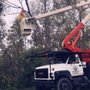 Keilman's Tree Service