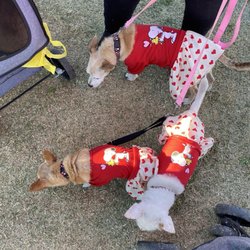 Look at those match outfits!