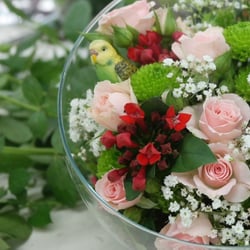 Horticoles Georges Truffaut - Atelier DIY composition florale lors de la soirée #flowerpartytruffaut