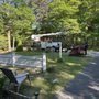 Photo of Newcomb's Tree Service LLC of Cape Cod