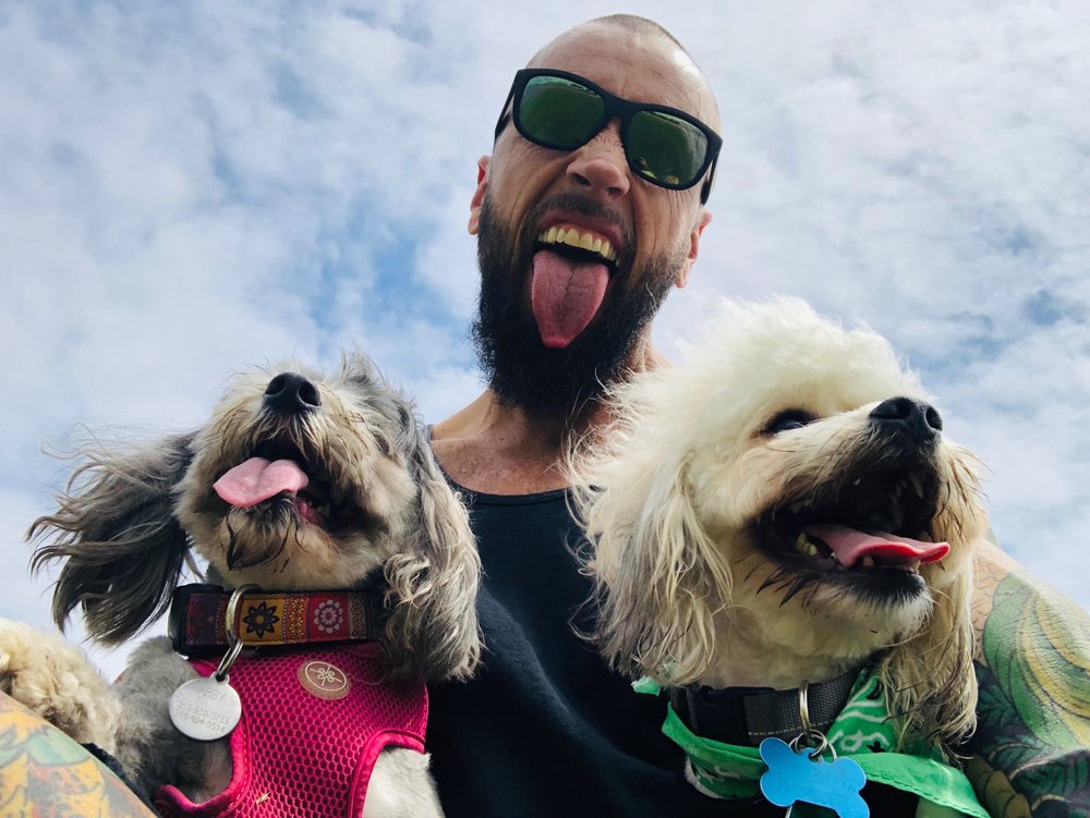 THE PET WASH Updated September 2024 213 Photos & 472 Reviews 100 W Imperial Ave, El