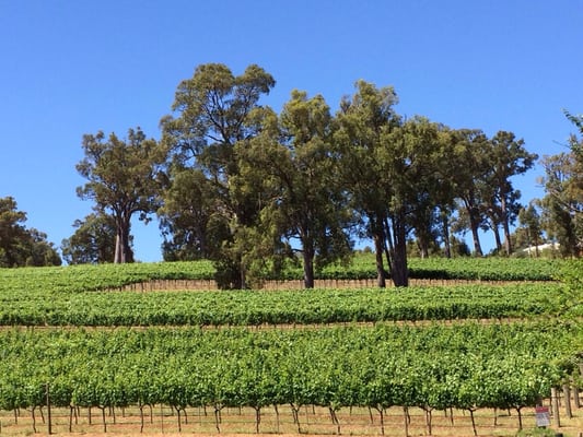 Millbrook Winery by null