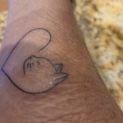Think Tank Tattoo South - Kitty/heart. A little wrinkled still under the Saniderm.