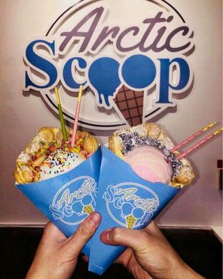 Arctic Scoop by null