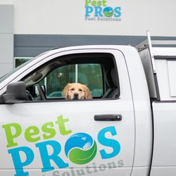 Pest Pros Pest Solutions