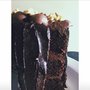 Photo of DNA Catering Sweets