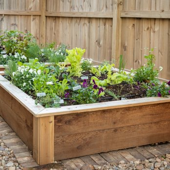 GROW Edible Landscape Design - Raised bed vegetable garden - Gardeners Near Me - Plano, Texas GROW Edible Landscape Design - Raised bed vegetable garden - Gardeners Near Me - Plano, Texas