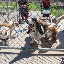 Countryside Dog Park - The off-leash area at Countryside Park includes separately fenced areas for timid dogs and active dogs.