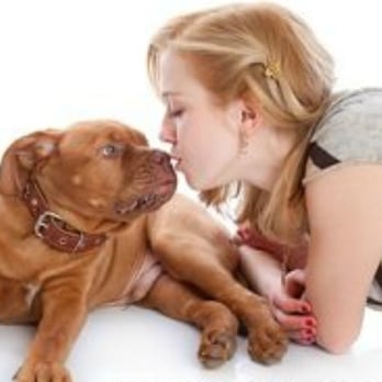 Petaholics - Dog Walkers Near Me - New York, New York Petaholics - Dog Walkers Near Me - New York, New York