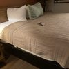 Noor Hotel gift card