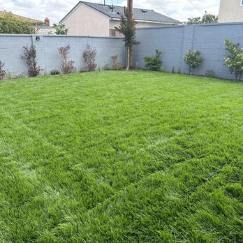 Newport Landscape - Love our new grass and plants. - Landscaping Near Me Newport Landscape - Love our new grass and plants. - Landscaping Near Me