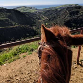 Circle Bar B Stables - Roho and the amazing view - Horseback Riding Near Me - Santa Barbara, California