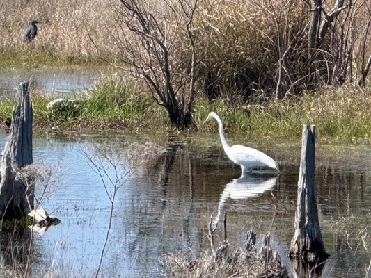 St. Andrews State Park by null