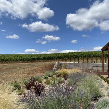 Nysa Vineyard - Nysa Vineyard view - Wineries Near Me - Dundee, Oregon Nysa Vineyard - Nysa Vineyard view - Wineries Near Me - Dundee, Oregon