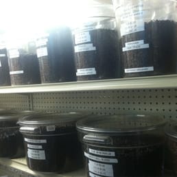 Coffee galore @ Head Nut! Coffee galore @ Head Nut!