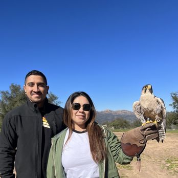 Sky Falconry - Specialty Schools Near Me - Alpine, California Sky Falconry - Specialty Schools Near Me - Alpine, California