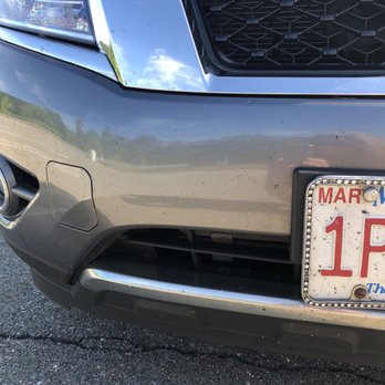 LUBE2Go - Mosquitoes still hanging onto bumper and license plate - Auto Detailing Near Me - Marlborough, Massachusetts LUBE2Go - Mosquitoes still hanging onto bumper and license plate - Auto Detailing Near Me - Marlborough, Massachusetts