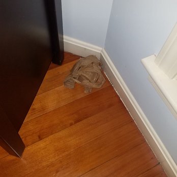 Esquire Moving & Storage - Trash they left at my new place ... - Movers Near Me - Boston, Massachusetts