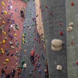 Vertical World Seattle - Top rope and lead climbing